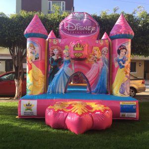 Palacio princesas con recibidor 4x3